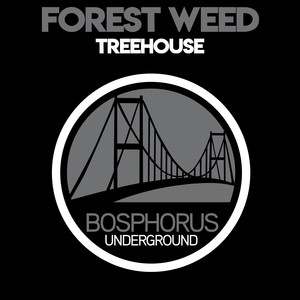 Treehouse (Original Mix)