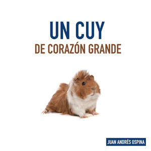 Un Cuy de Corazón Grande