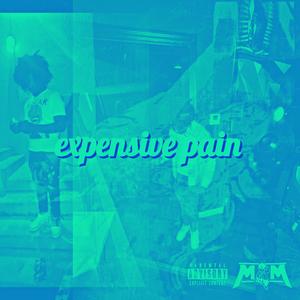 Expensive Pain (Explicit)