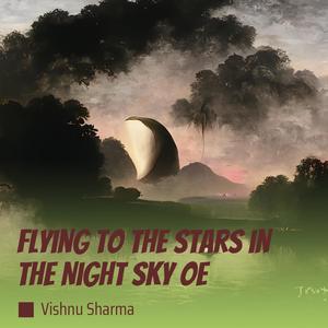 Flying to the Stars in the Night Sky Oe