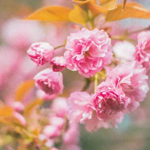 the month i met you (sped up)