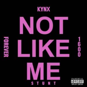 Not Like Me (Explicit)