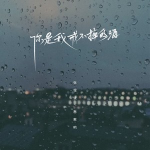 你是我戒不掉的酒