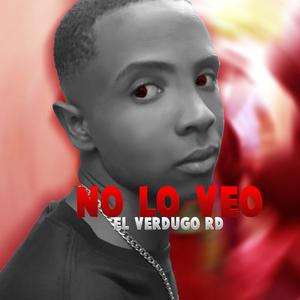 No Lo Veo