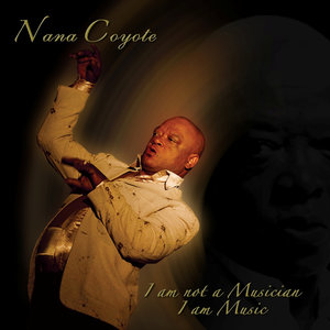 Nana Coyote - 12 Gold Digger Remix