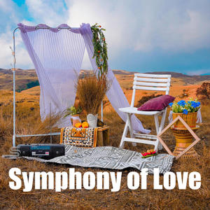 Symphony of Love