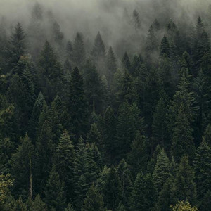 Fuji Spirit(prod. by WEBBOY)