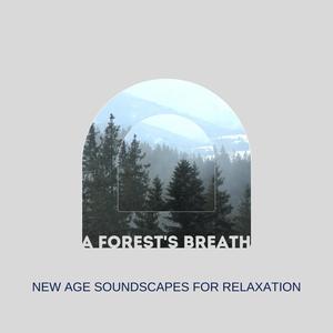 A Forest's Breath: New Age Soundscapes for Relaxation