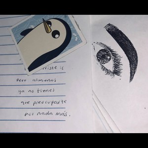 No Sé Hacer Nada Pero Te Hice un Album