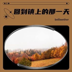 回到镇上的那一天