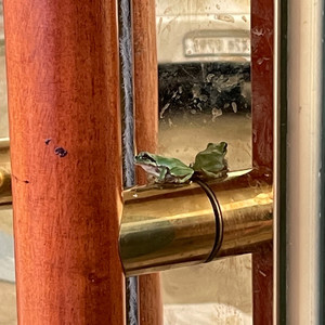 외톨이갱 (lone-gang) (narr. 김라마 (Gim Llama), 김주호 (Kim Juho))