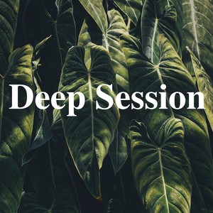 Deep Session