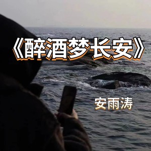 醉酒梦长安
