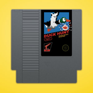 Duck Hunt