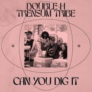 Can U Dig it (Explicit)