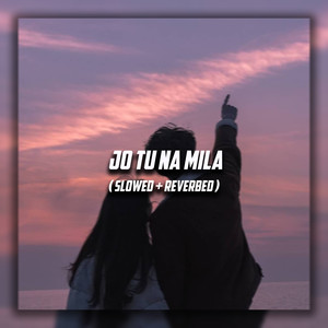 Jo Tu Na Mila (Slowed + Reverbed)