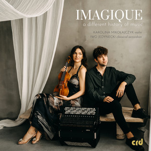 Violin Sonata in G Major, K. 301 (Arr. for Violin & Accordion by Iwo Jedynecki) - II. Allegro