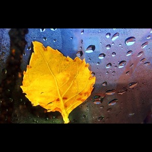 夏天随着你离开而远逝