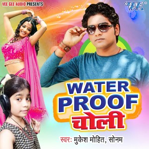 Ara Ke Bhatar