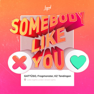 你的模样 (Somebody Like You)