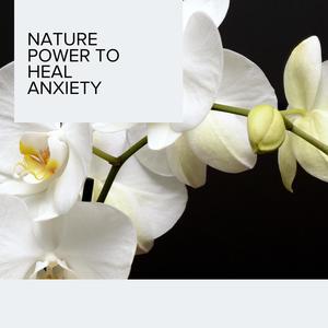 Fierce Red Tailed Hawk