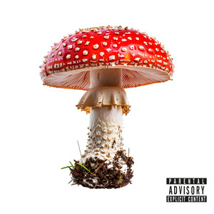 Alucinógenos (Explicit)