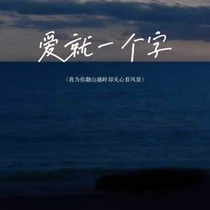 爱就一个字 (我为你翻山越岭却无心看风景)