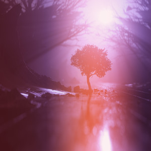 Dissolve