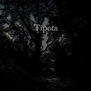 Tipota (feat. katsi) (Explicit)