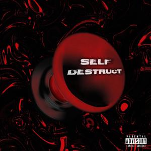 SELF-DESTRUCT (Explicit)