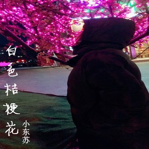 白色桔梗花 (伴奏)