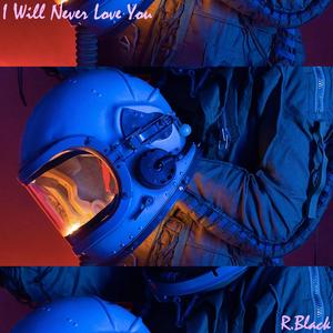 I Will Never Love You (Inst.)