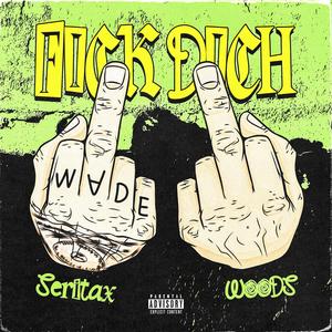 Fick dich (feat. Woods) (Explicit)