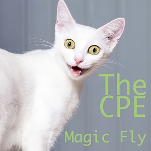 Magic Fly (House Remix) [Brutto Netto Katzen Werbung Song]