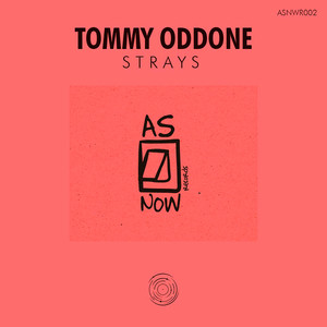 Strays (Original Mix)