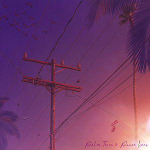 Palm Trees & Power Lines (Explicit)