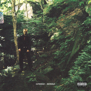 Revenge Song (Explicit)