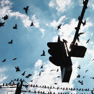 春不渡我 我自迎春