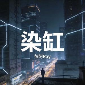 染缸封面