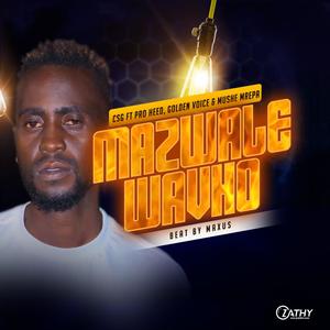 Mazwale wavho (feat. Pro heed, Golden voice, Mushe mrepa & Maxusbeatz)