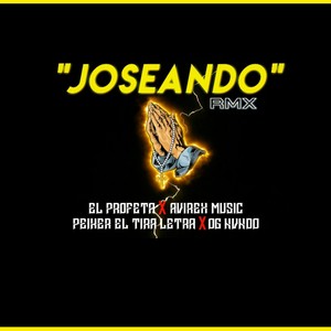 Joseando Dinero (feat. El Profeta RD, Og Nvndo & Peiker El Tira Letras) [Remix]