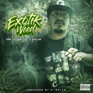 Exotik **(feat. D. Salas) (Explicit)