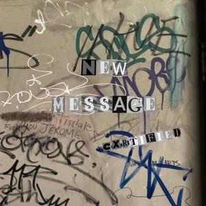 New Message (internet nigga) (Explicit)