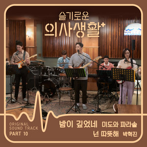 슬기로운 의사생활 OST Part 10