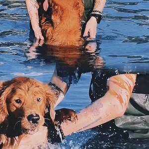 我可以说我喜欢你