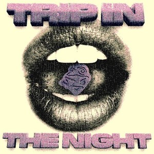 TRIP IN THE NIGHT (Explicit)