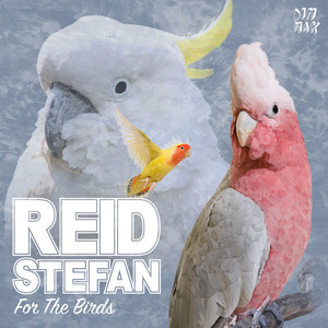 For The Birds (Explicit)