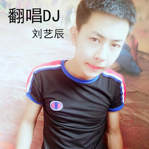 盗心贼 (DJ加快版)