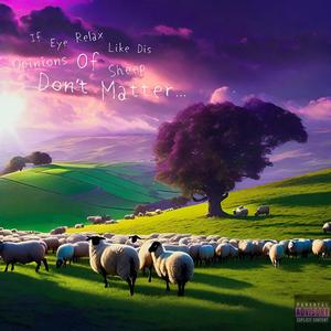 If Eye Relax Like Dis Opinions Of Sheep Don’t Matter (Explicit)