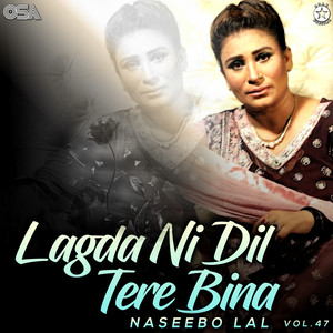 Lagda Ni Dil Tere Bina, Vol. 47